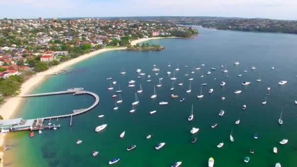 Ogólny Widok Łodzi Pływających Pobliżu Plaży Balmoral Sydney Australia Wideo — Wideo stockowe