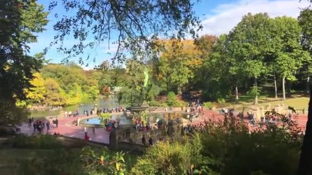 Çeşme Central Park New York Abd — Stok video