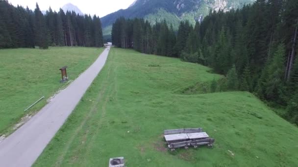 Luftaufnahme Einer Schönen Straße Durch Den Wald Video — Stockvideo