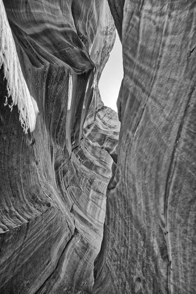 Textura Formações Rochosas Antelope Canyon Arizona — Fotografia de Stock