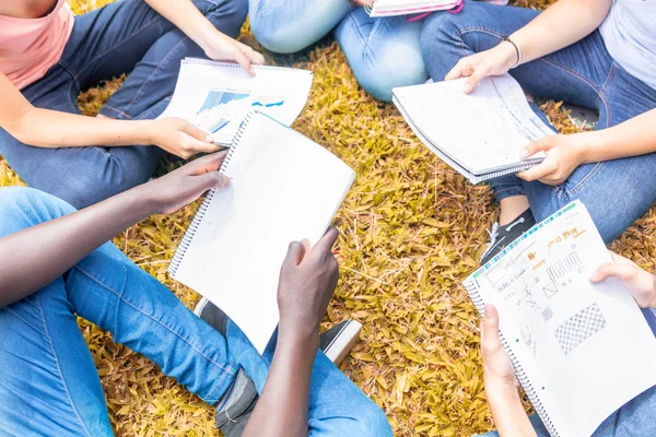 Çim, detay egzersiz kitap üzerinde ders yapma çok etnik genç grup.
