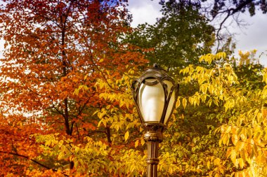 central Park'ta elektrik direği.