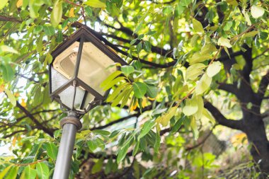 Bir dağ yolu sokak lambası.