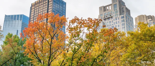 Edifici Grattacieli New York City Central Park Nella Stagione Fogliare — Foto Stock