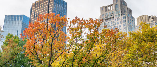 Buildings and skyscrapers of New York City from Central Park in foliage season.