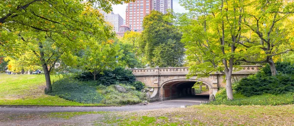 Yapraklar Mevsiminde New York City Central Park Winterdale Köprüsü — Stok fotoğraf