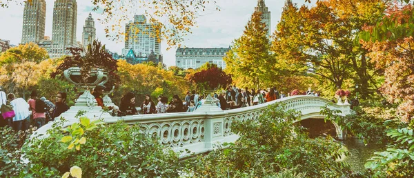 纽约市 2015年10月25日 树叶季节中央公园的弓桥 纽约每年接待 000万游客 — 图库照片