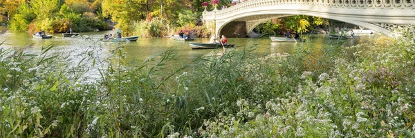 Passeio Barco Central Park Temporada Folhagem Férias Relaxe Conceito — Fotografia de Stock