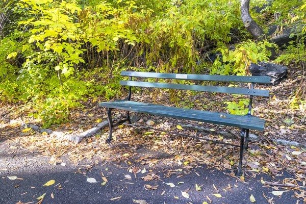 中央公园的绿色长凳 — 图库照片