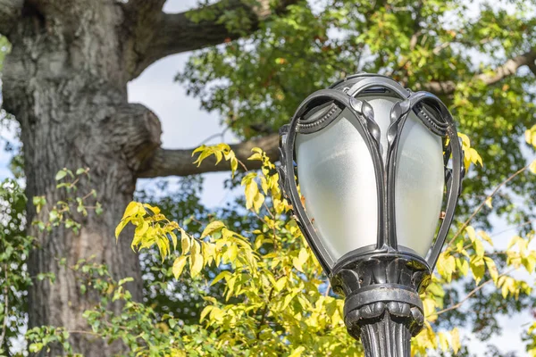 Lampa Central Parku — Stock fotografie