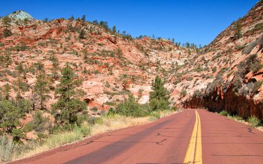 Zion national park manzaralı, Ağustos 2004