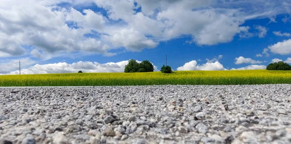 Güzel Sarı Çayırlar Açık Kırsal Kesimde Havadan Görünümü — Stok fotoğraf