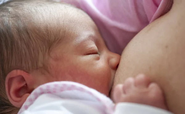 Baba Eszik Meg Anyja Tejében Első Nap Élet Fogalma Szülés — Stock Fotó