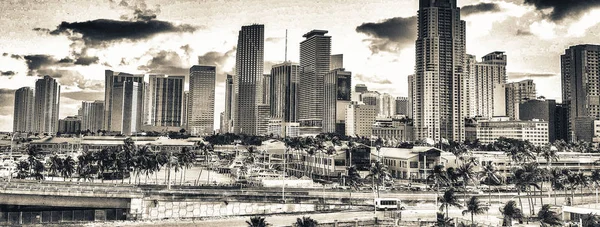 鸟瞰图市中心的迈阿密 — 图库照片