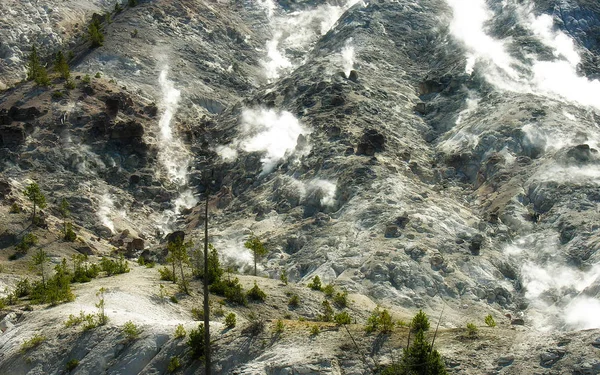 Färger Yellowstone National Park Wyoming — Stockfoto