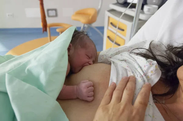 Newborn Baby Sucking Milk Mother Breast Immediately Birth — Stock Photo, Image