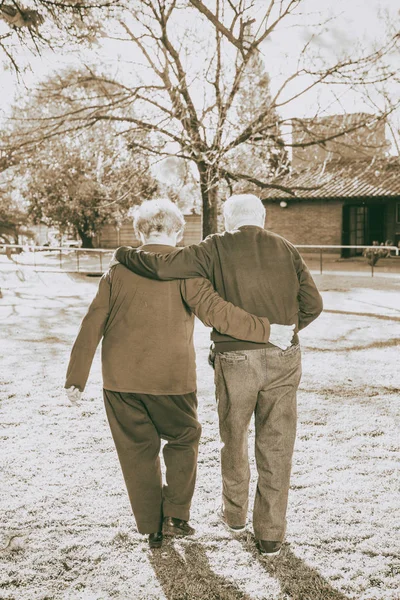 Feliz Pareja Ancianos Caminando Jardín Vista Trasera —  Fotos de Stock