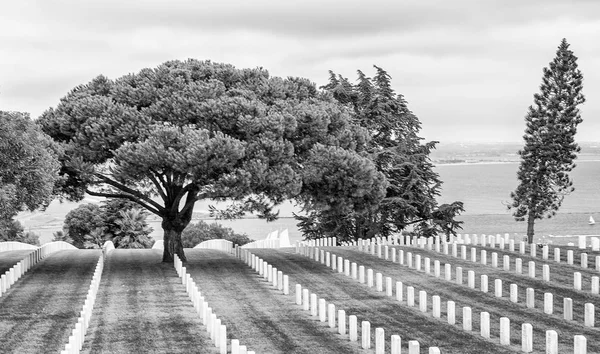 Begraafplaats Cabrillo Memorial Drive San Diego — Stockfoto