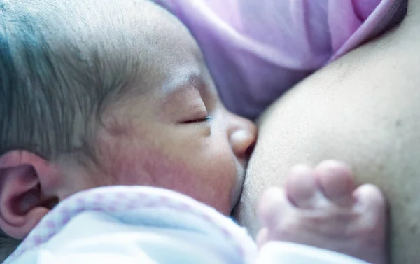 母亲给刚出生的女婴喂奶 妈妈护理和喂养小孩 生命的第一天 出生概念 — 图库照片