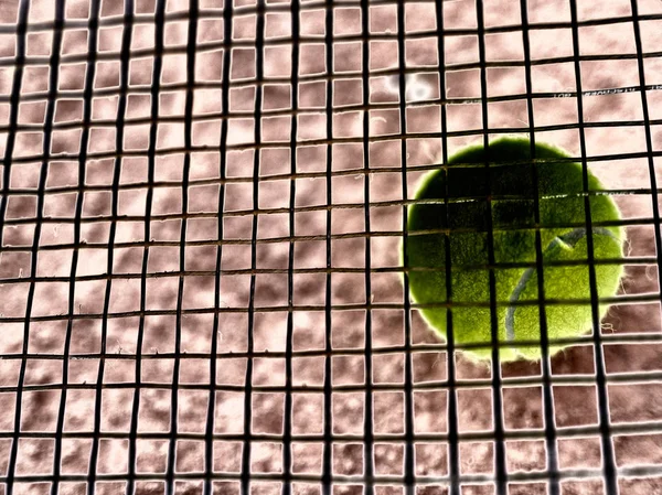 Immagine Negativa Della Palla Tennis Gialla Dietro Corde Della Racchetta — Foto Stock