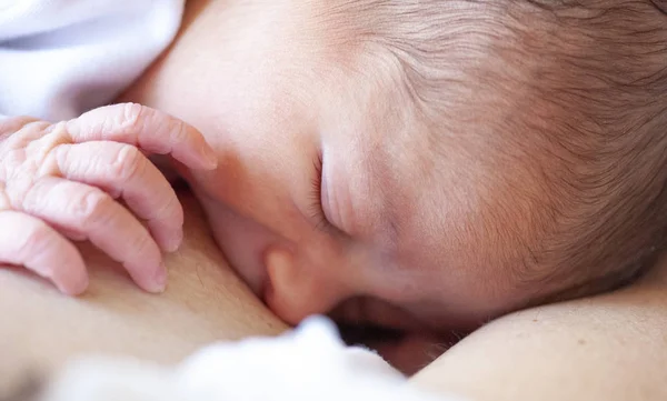 Madre Sta Allattando Suo Neonato Ospedale Primo Giorno Vita — Foto Stock