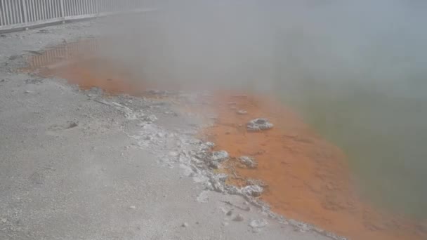 Basen Szampanem Parku Narodowym Wai Tapu Rotorua Nowa Zelandia — Wideo stockowe