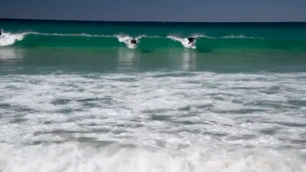 Бонди Бич Австралия Августа 2018 Серферы Пляже Бонди Солнечным Утром — стоковое видео