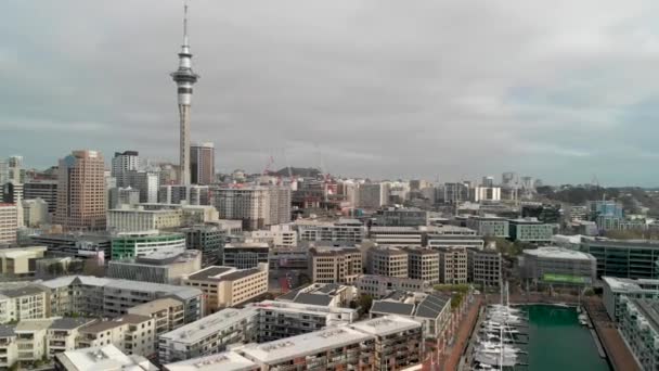 Ptaka Panoramiczne Panoramę Auckland Nowa Zelandia — Wideo stockowe