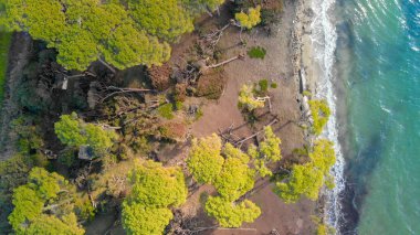 Torre Mozza, Toskana. Güzel bir plaj ve pinewood sonbaharda şiddetli bir fırtınadan sonra havadan görünümü.