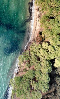 Güzel bir plaj ve pinewood, panoramik manzara ek yükü havadan görünümü.