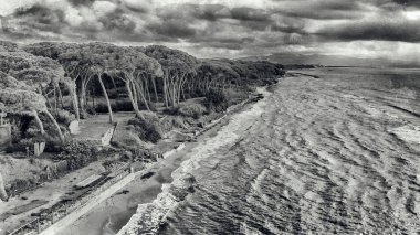 Torre Mozza, Toskana. Güzel bir plaj ve pinewood sonbaharda şiddetli bir fırtınadan sonra havadan görünümü.