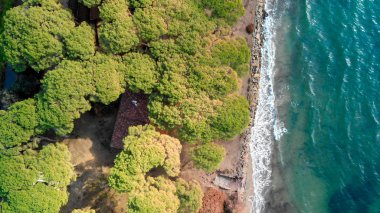 Torre Mozza, Toskana. Güzel bir plaj ve pinewood sonbaharda şiddetli bir fırtınadan sonra havadan görünümü.