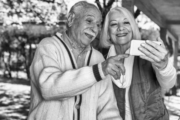 Couple Âgé Regardant Les Photos Leurs Petits Enfants Sur Leur — Photo