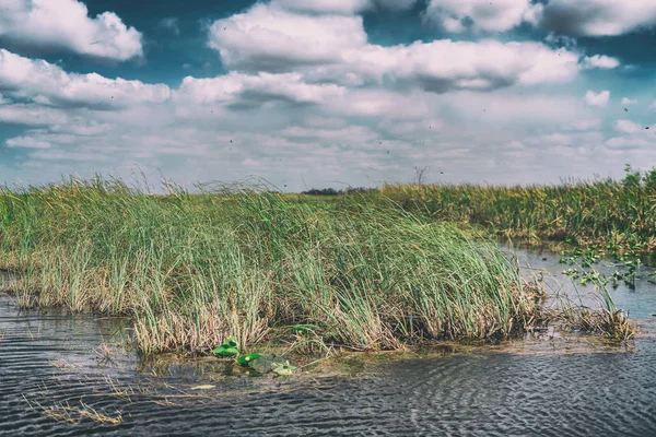 Έλη Των Everglades National Park Φλόριντα — Φωτογραφία Αρχείου