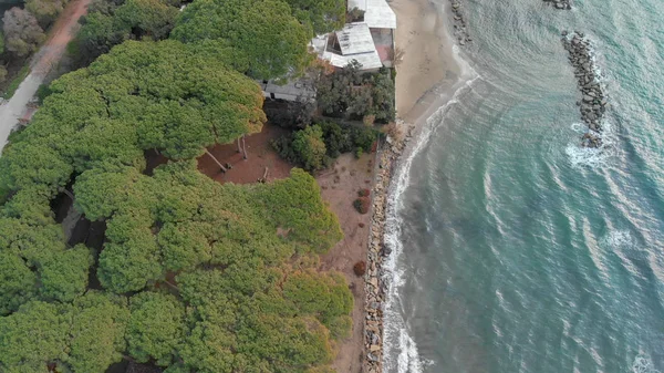 Αεροφωτογραφία Του Pinewood Κατά Μήκος Της Θάλασσας Μετά Από Μια — Φωτογραφία Αρχείου