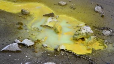 Sarı havuzu Wai-O-Tapu Milli Parkı'nda, Rotorua, Yeni Zelanda