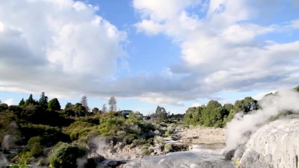 Pohutu Θερμοσίφωνας Puia Εθνικό Πάρκο Νέα Ζηλανδία — Αρχείο Βίντεο