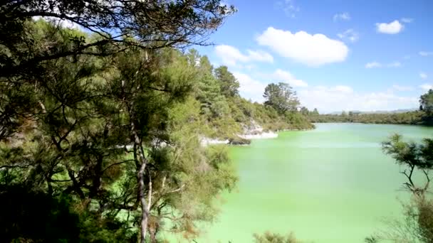 See Ngakoro Wai Tapu Nationalpark Rotorua Neuseeland — Stockvideo