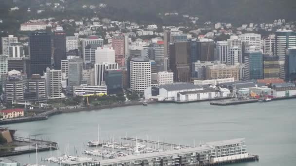 Havadan Görünümü Wellington Yeni Zelanda — Stok video
