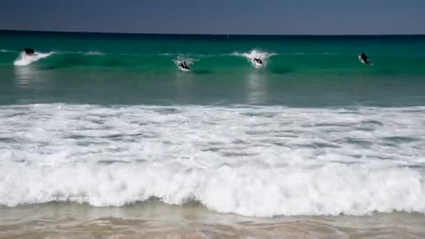 Surfers Tegen Golven Een Prachtig Strand — Stockvideo