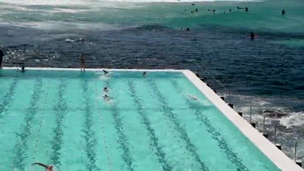 Piscinas Bondi Beach Com Nadadores Vista Aérea — Vídeo de Stock