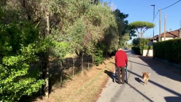 Bilder Äldre Par Som Går Tillsammans Gatan — Stockvideo