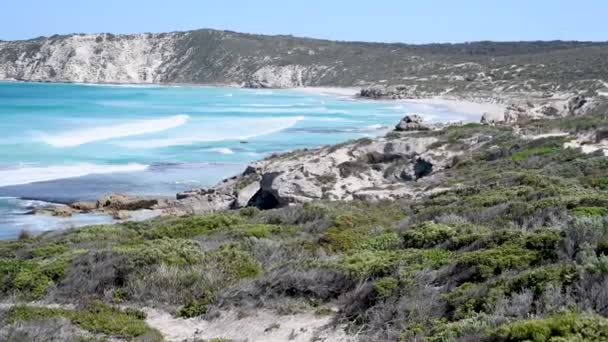 Doğa Inanılmaz Fantastik Kıyı Şeridi Kanguru Adası — Stok video