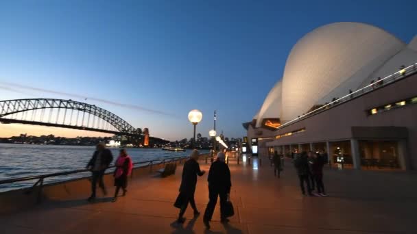 Сидней Ноября 2015 Панорама Гавани Дарлинг Ночью Ежегодно Город Привлекает — стоковое видео