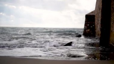 Dalgalar kumsalda, sığ odak