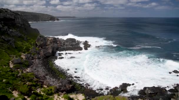 Vue Sur Océan Avec Des Rochers Des Vagues Dans Parc — Video