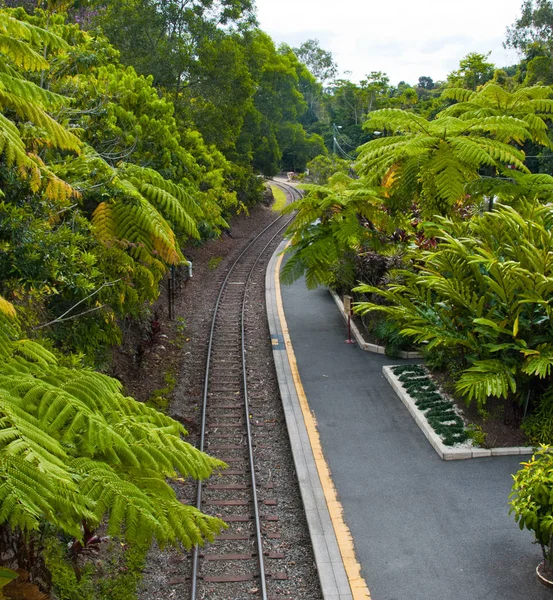 Pohled Vlaku Kuranda Cairns Austrálii — Stock fotografie