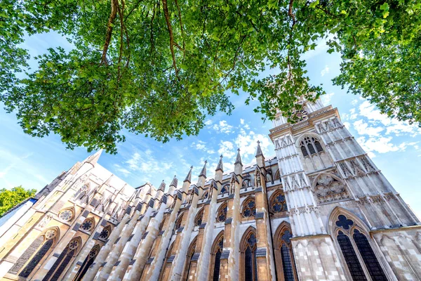 Westminsterské Opatství Obklopené Stromy Londýn Létě Velká Británie — Stock fotografie