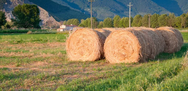 Bales Hay Tuscan Meadow Itália — Fotografia de Stock