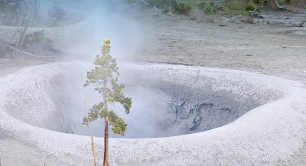 Smoky Geyser Nel Parco Nazionale Yellowstone — Foto Stock
